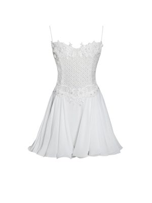 Fabiola Lace Trim Silver Net Top Mini Flare Chiffon Dress