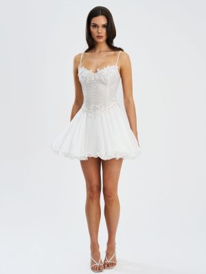 Fabiola Lace Trim Silver Net Top Mini Flare Chiffon Dress