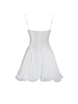 Fabiola Lace Trim Silver Net Top Mini Flare Chiffon Dress