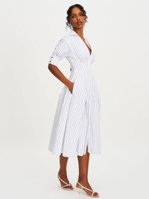 Palina Pinstripes Cotton Poplin Pleated Midi Preppy Shirt Dress