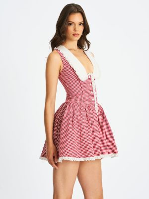 Nala Red Gingham Eyelet Lace Trim Peterpan Collar Mini Dress