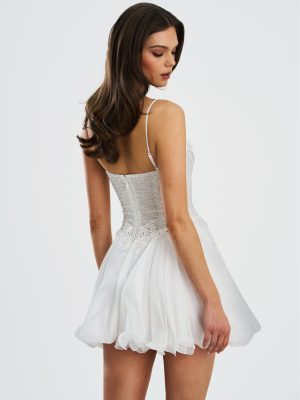 Fabiola Lace Trim Silver Net Top Mini Flare Chiffon Dress