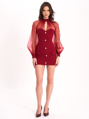 Tabitha Burgundy Mesh Lantern Sleeve Mini Dress
