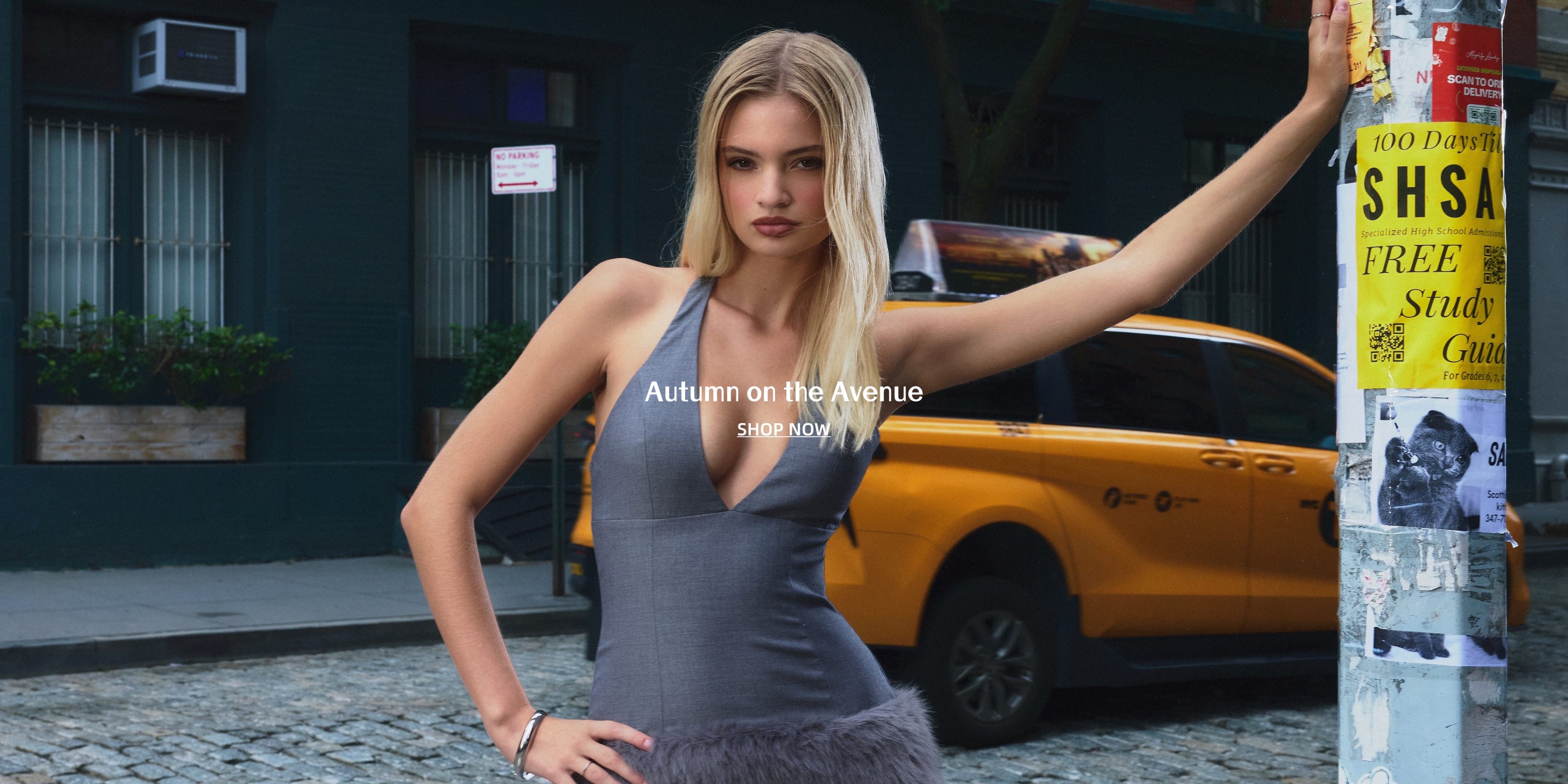 b8259360d7974b8695371d9cf951cfbd.thumbnail.SDSAD